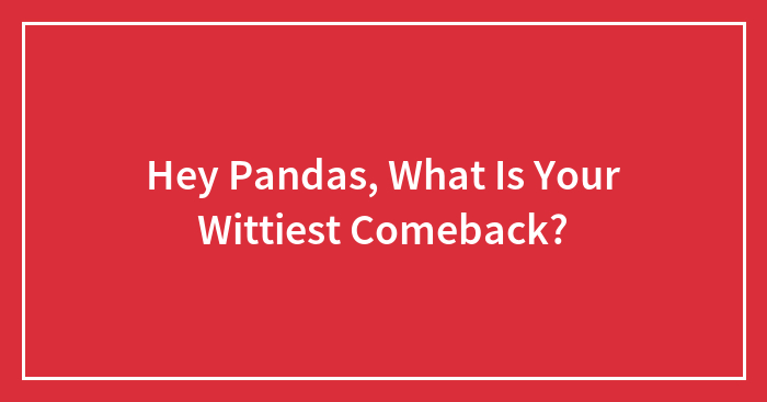 Hey Pandas, What Is Your Wittiest Comeback? (Closed)