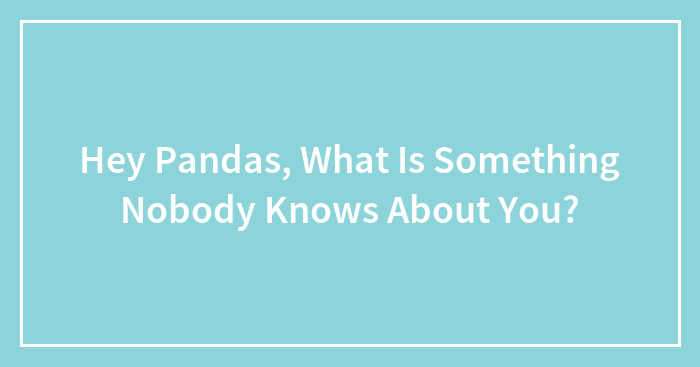 Hey Pandas, What Is Something Nobody Knows About You?