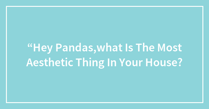 “Hey Pandas,what Is The Most Aesthetic Thing In Your House?
