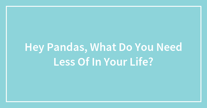 Hey Pandas, What Do You Need Less Of In Your Life? (Closed)