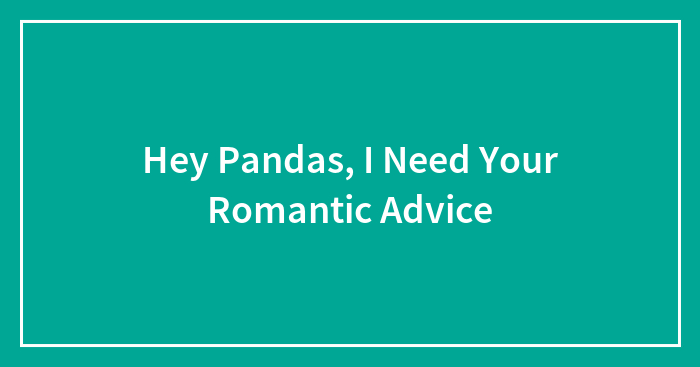 Hey Pandas, I Need Your Romantic Advice