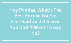 Hey Pandas, What’s The Best Excuse You’ve Ever Said Just Because You Didn’t Want To Say No? (Closed)