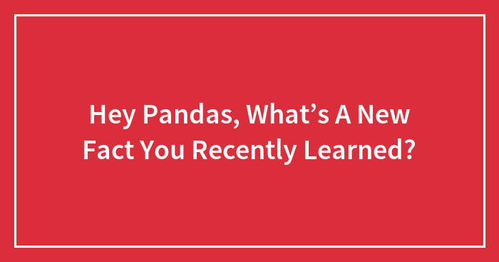 Hey Pandas, What’s A New Fact You Recently Learned? (Closed)