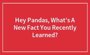 Hey Pandas, What’s A New Fact You Recently Learned?