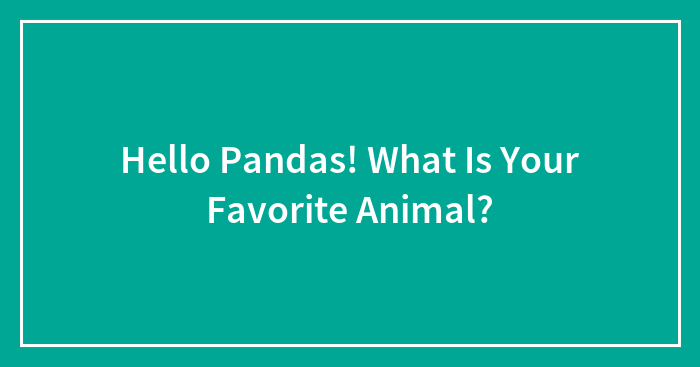 Hello Pandas! What Is Your Favorite Animal?