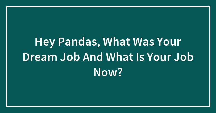 Hey Pandas, What Was Your Dream Job And What Is Your Job Now? (Closed)