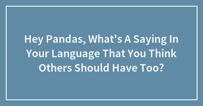 Hey Pandas, What’s A Saying In Your Language That You Think Others Should Have Too? (Closed)