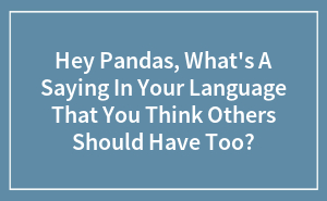 Hey Pandas, What's A Saying In Your Language That You Think Others Should Have Too?
