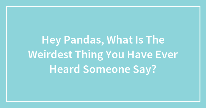 Hey Pandas, What Is The Weirdest Thing You Have Ever Heard Someone Say? (Closed)