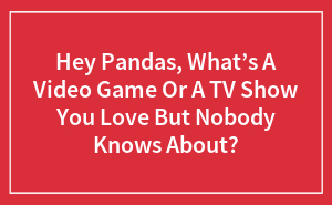 Hey Pandas, What’s A Video Game Or A TV Show You Love But Nobody Knows About?