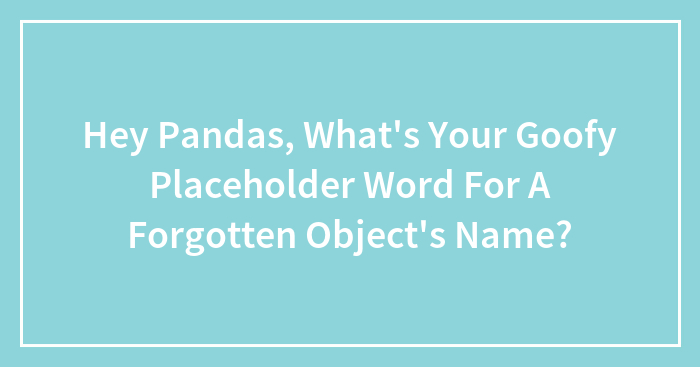 Hey Pandas, What’s Your Goofy Placeholder Word For A Forgotten Object’s Name?