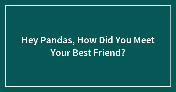 Hey Pandas, How Did You Meet Your Best Friend?