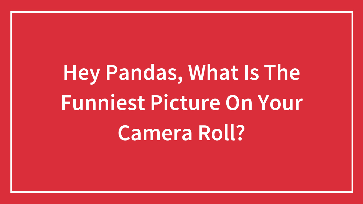 Hey Pandas, What Is The Funniest Picture On Your Camera Roll?