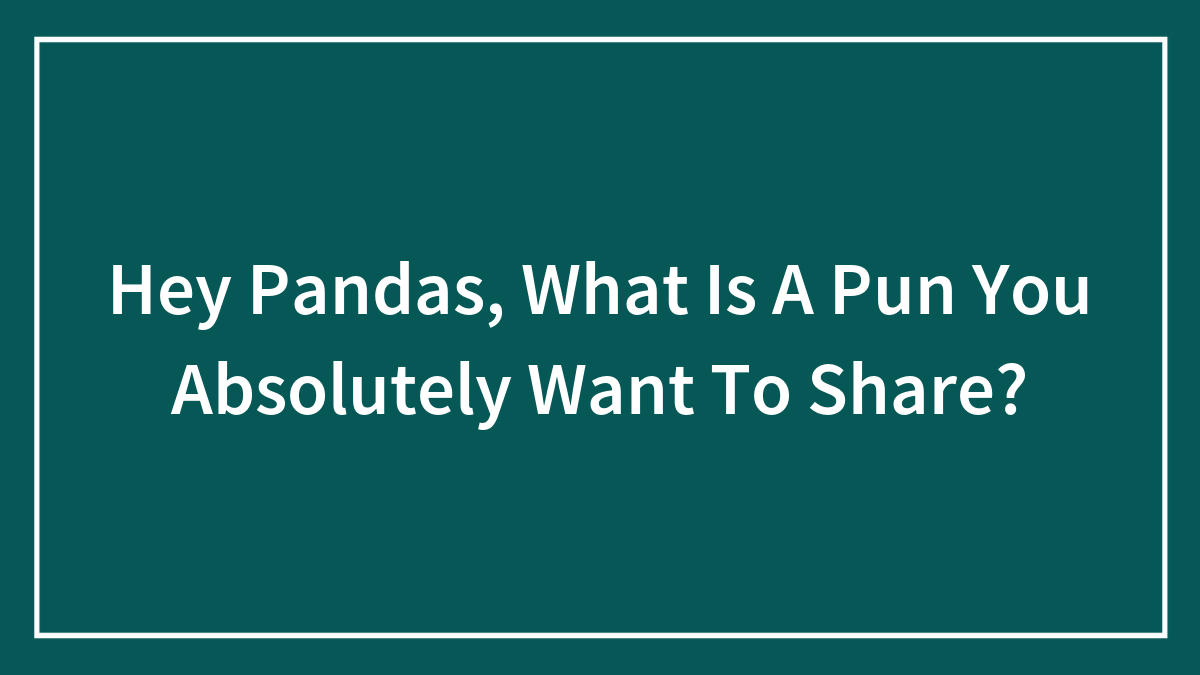 Hey Pandas, What Is A Pun You Absolutely Want To Share? (Closed)