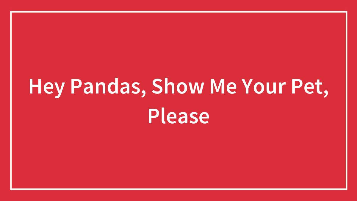 Hey Pandas, Show Me Your Pet, Please