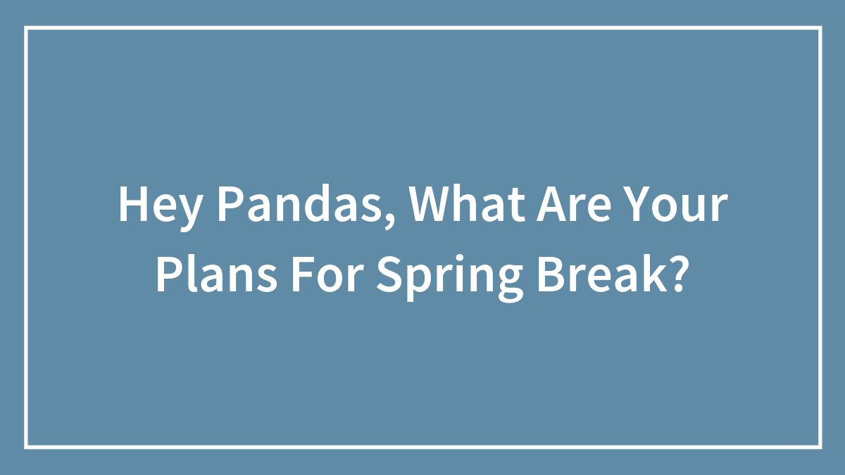 Hey Pandas, What Are Your Plans For Spring Break?