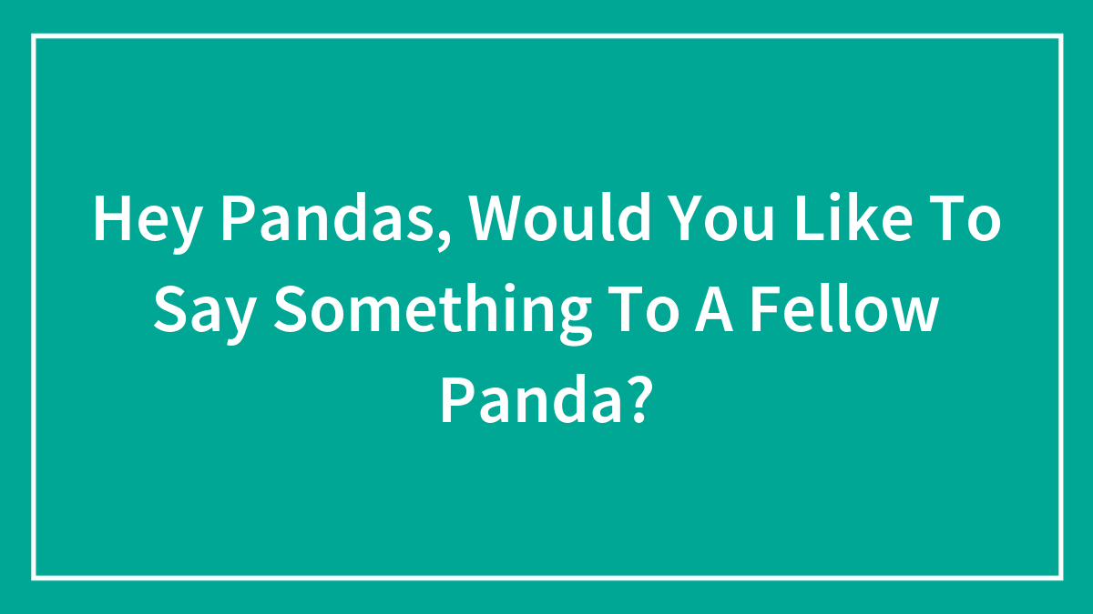 Hey Pandas, Would You Like To Say Something To A Fellow Panda?