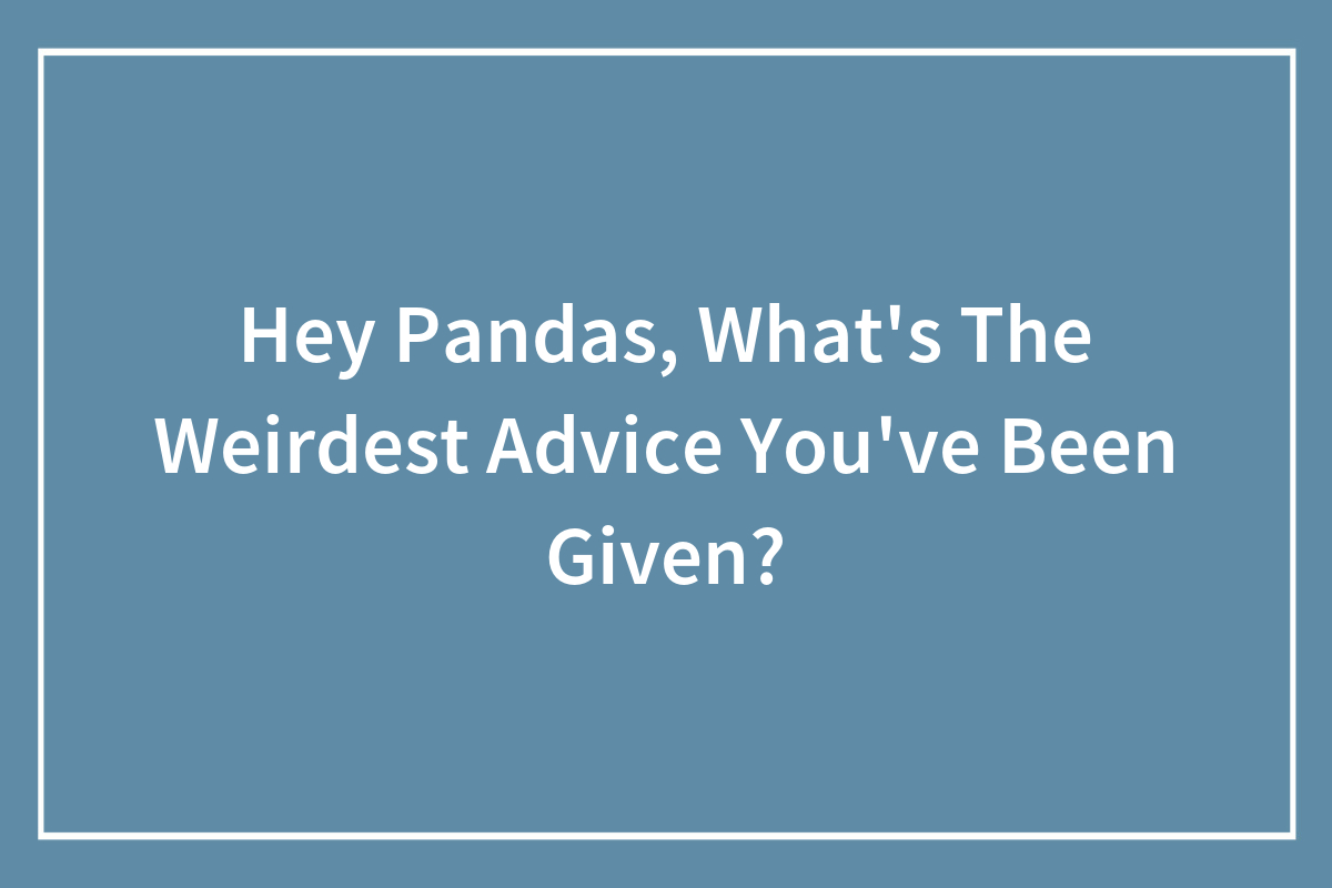 Hey Pandas, What’s The Weirdest Advice You’ve Been Given? (Closed ...