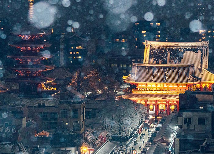 Tokyo Got Snow For The First Time In 4 Years, And I Took The Chance To Photograph It (15 Pics)