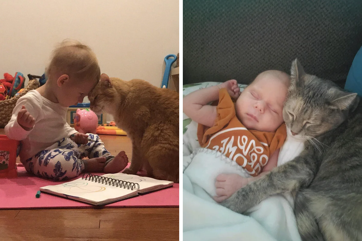 101 Cats Who Proved To Be Perfect Babysitters