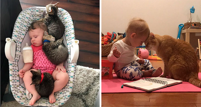 40 Times Cats Figured Their New Job Was Babysitting, And Nailed It