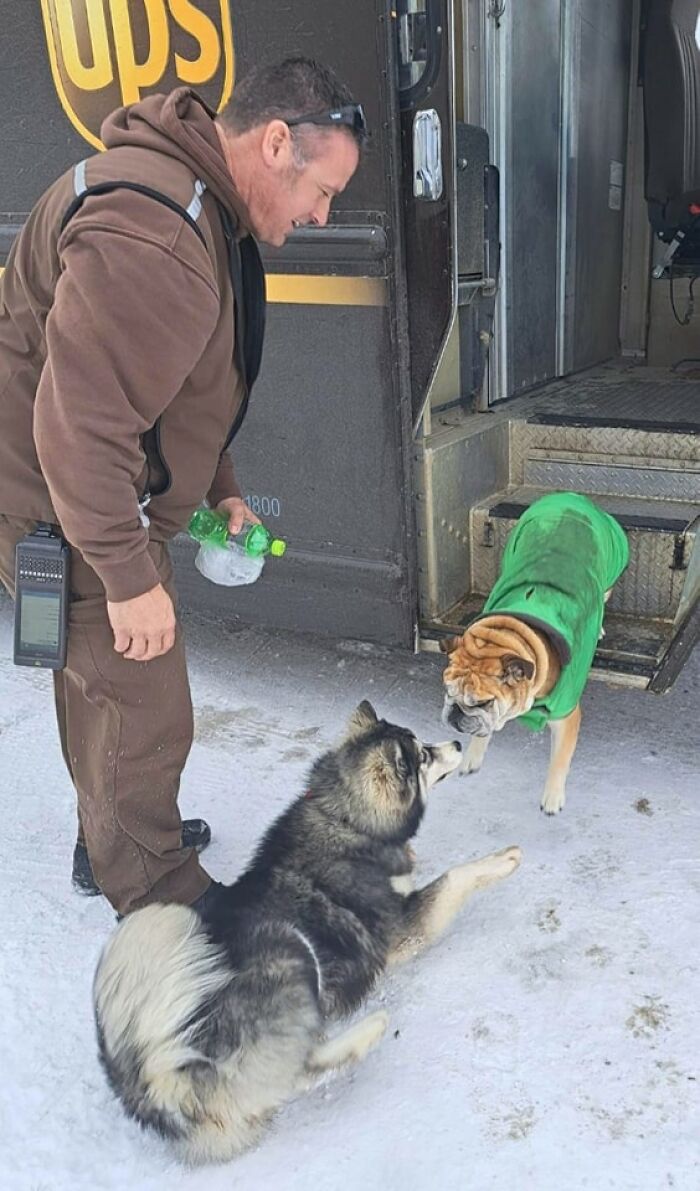 Our Dogs Took It Upon Themselves To Hop Into Our UPS Guy's Truck Yesterday While He Was Delivering A Package To Us. Cologne, Mn