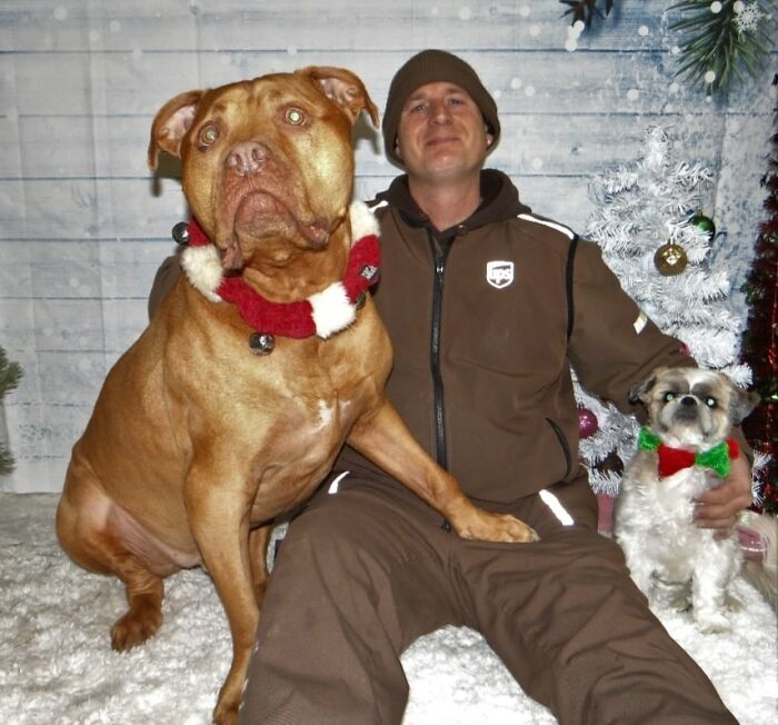 Rick Always Makes Time At The Animal Shelter For A Photo Session With Shelter Greeters Meeko And Archie! He's The Best! Fairfield, Iowa