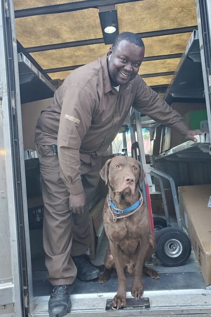 Hector Is Our Chesapeake Bay Retriever. He Was Born In Wisconsin At Sand Spring Chesapeakes But Now Lives In Alabama. His Hobbies Are Anything Water, Helping His Poppa On The Farm, Giving Lots Of Snuggles And Kisses And Hopefully, One Day, Driving The Big Brown Truck