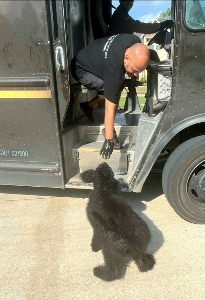 Daniel Darted Out To Hitch A Ride In Cypress, Tx. We Love Our UPS Drivers And Helpers!