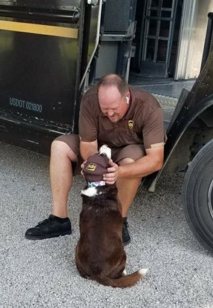 This Is Marley Patiently Waiting For A Delivery In Lewisport, Ky. From Her Favorite UPS Driver. Makes For A Great Day With Dog Treats And A Quick Belly Rub!