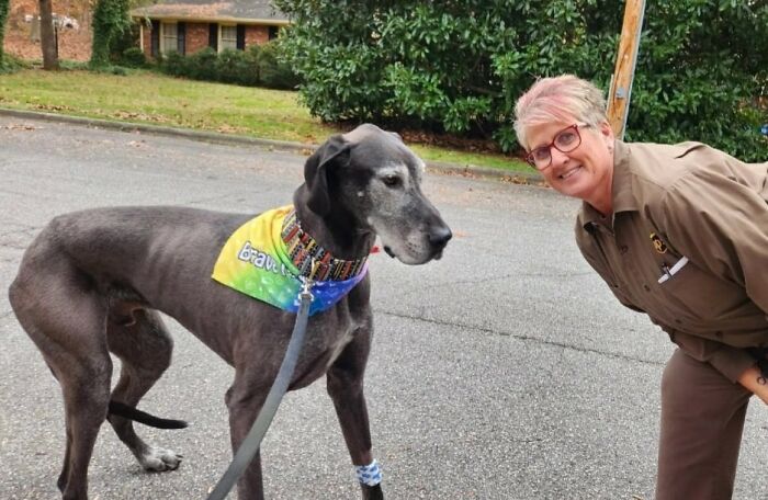 Foster-Dane, Max, Is Still New To The Idea Of Surprise Stops From 'Cookie Lady' Debbie!! We Love Our UPS Driver! Thomasville, Nc