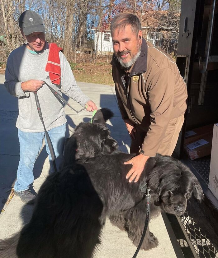 We Were Leaving Our Vet’s Office In Vonore, Tn When Our Newfoundlands (Elsa And Solomon) Spotted The UPS Man