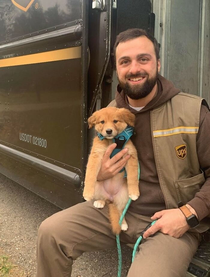 My Fiancé Corey Is A Driver Out Of Livonia, Mi UPS. He Delivers To Our Home And Has Lunch With Family Each Day; This Week He’s Been Working Hard Helping Train His New Puppy Penny. She Wasn’t Even Scared Of The Truck Starting Up When Dad Had To Leave And Is Looking Forward To Having Him Home All Weekend!