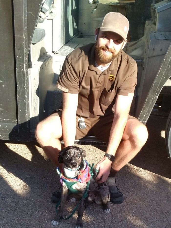 Rescue Dog Pazzy Meets Jake. Se Nebraska