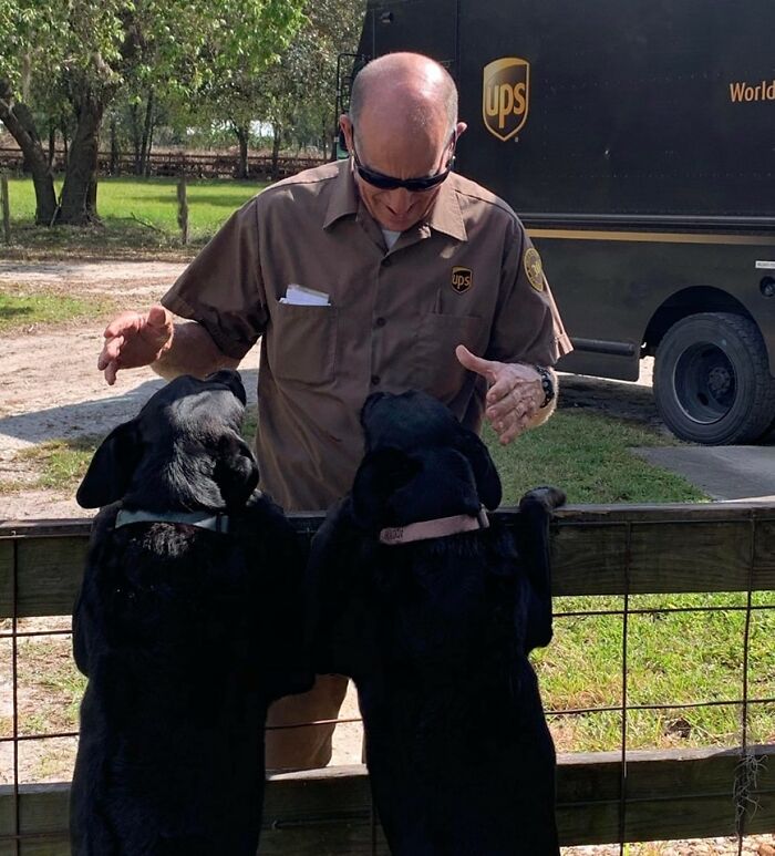 Our Super UPS Delivery Associate Craig In Sarasota, Fl. With Our Labs Boone And Addy! Thank You To Craig For Such Wonderful Service