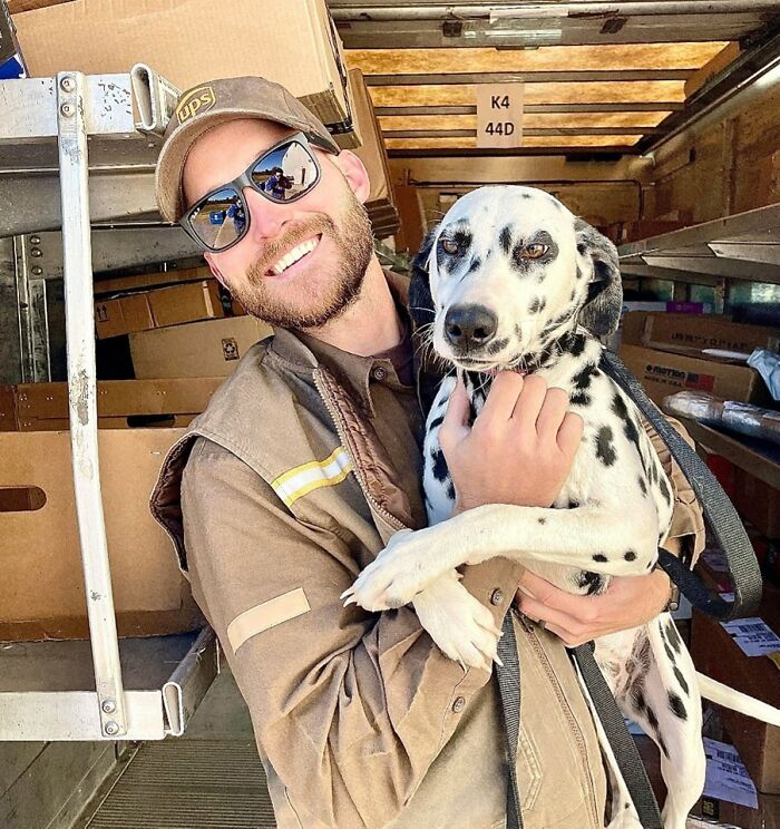 Willow The Dalmatian Loves To Eat All The Milk Bones And Get Unlimited Belly Rubs From Her Favorite UPS Guy! Mayfield Ky