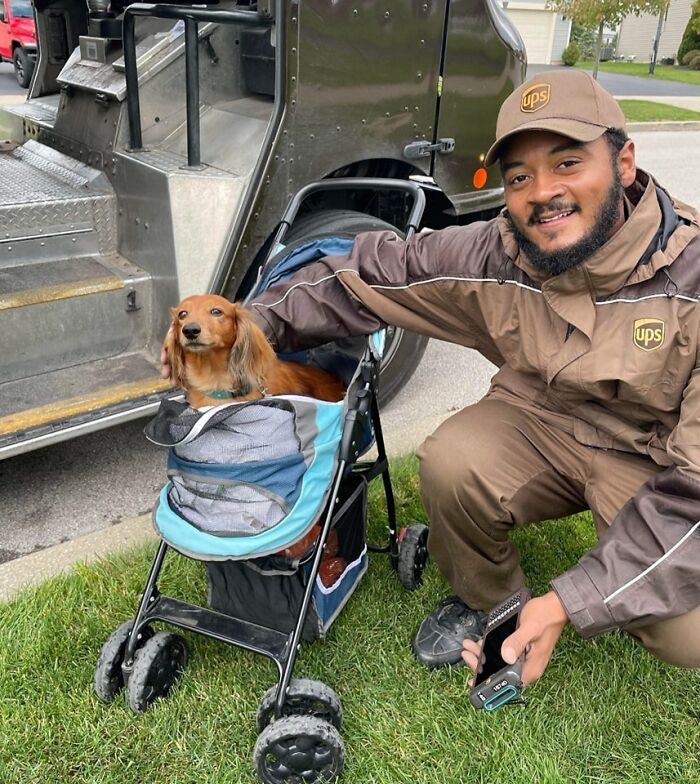 Our UPS Man In Lancaster NY With Rocco. Rocco Is Paralyzed And Cannot Walk So He Gets Stroller Rides