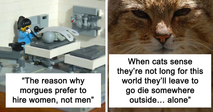 30 Facts That Might Make You Think “Well, That’s Enough Internet For One Day”, As Shared By Folks In This Online Group