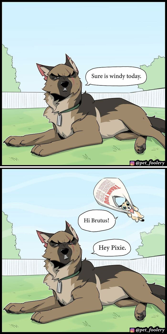 7 New Hilariously Adorable Comics From The Internet’s Most Loved Cat And Dog Duo To Instantly Make Your Day 7 New Hilariously Adorable Comics From The Internet’s Most Loved Cat And Dog Duo To Instantly Make Your Day