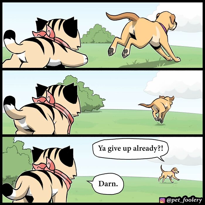 7 New Hilariously Adorable Comics From The Internet’s Most Loved Cat And Dog Duo To Instantly Make Your Day 7 New Hilariously Adorable Comics From The Internet’s Most Loved Cat And Dog Duo To Instantly Make Your Day