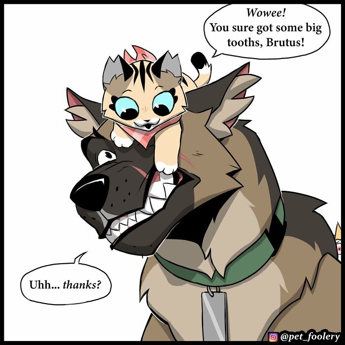 7 New Hilariously Adorable Comics From The Internet’s Most Loved Cat And Dog Duo To Instantly Make Your Day 7 New Hilariously Adorable Comics From The Internet’s Most Loved Cat And Dog Duo To Instantly Make Your Day