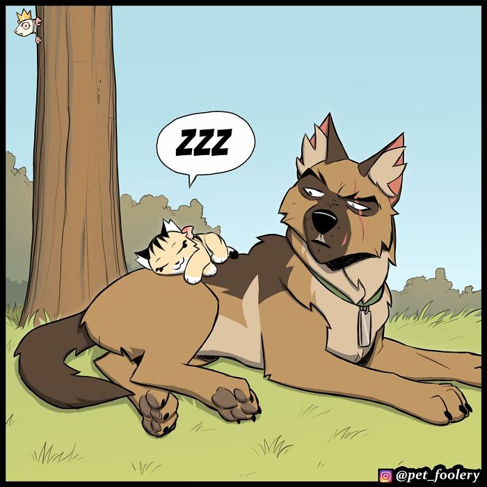 7 New Hilariously Adorable Comics From The Internet’s Most Loved Cat And Dog Duo To Instantly Make Your Day 7 New Hilariously Adorable Comics From The Internet’s Most Loved Cat And Dog Duo To Instantly Make Your Day