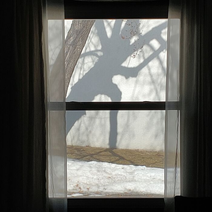 The Ents Are Storming Isengard