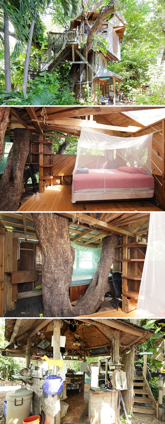 Treehouse Canopy Room: Permaculture Farm. Miami, Florida, United States