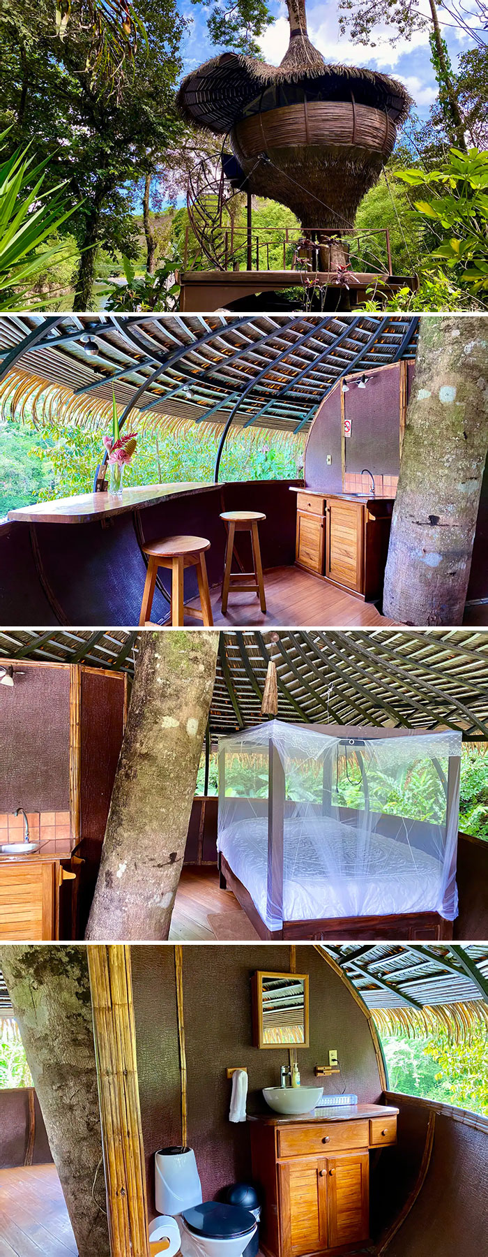 Tree-House Experience On A River. Panama