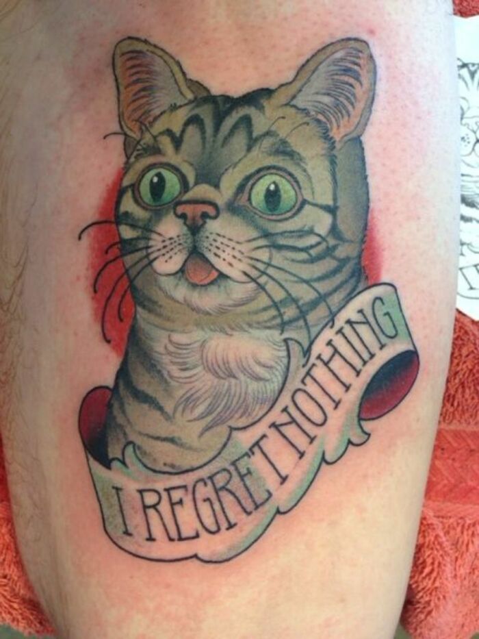 Funny tattoo of a cat with wide eyes and a banner reading "I regret nothing."