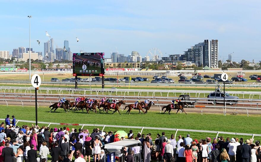 Race 10 Emirates Airline Plate 2013 Melbourne Cup