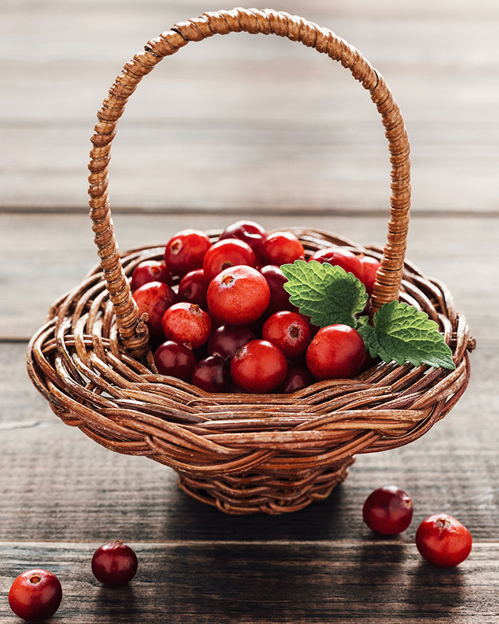 Cranberries in the basket