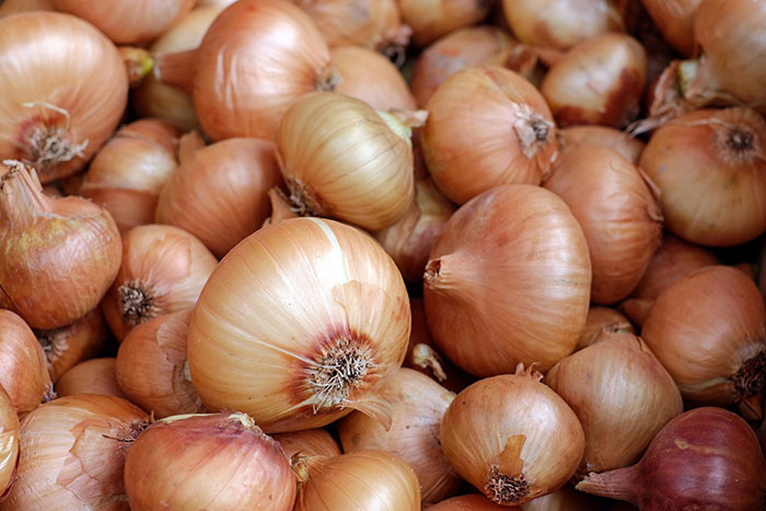 Many onions in one place