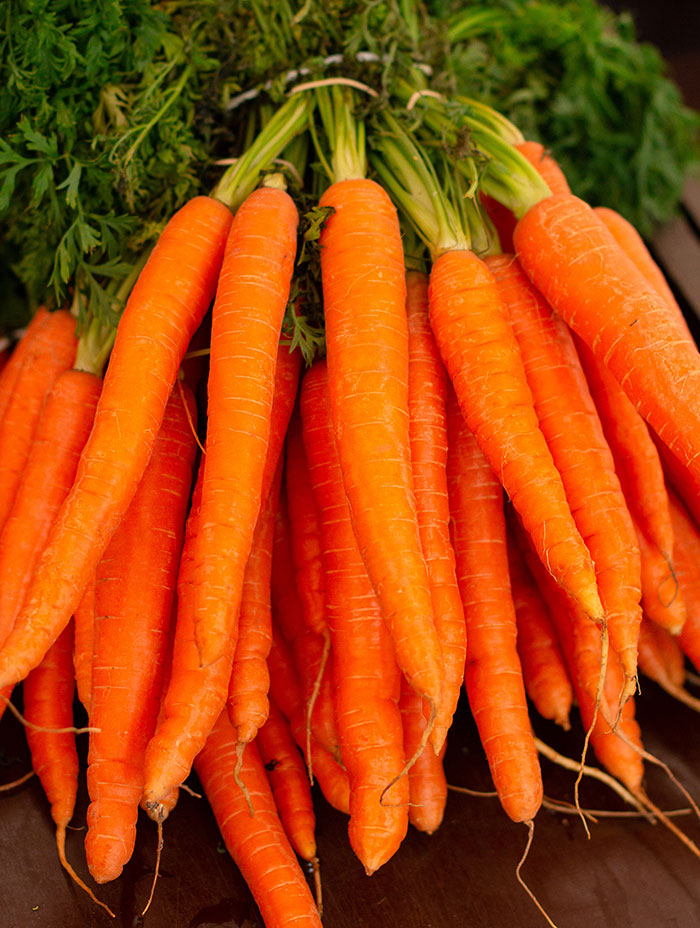 Many carrots in one place